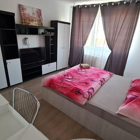 Ferienwohnung Garsoniera 30Mp Chrysflatty1 - Free Netflix Arad Exterior foto