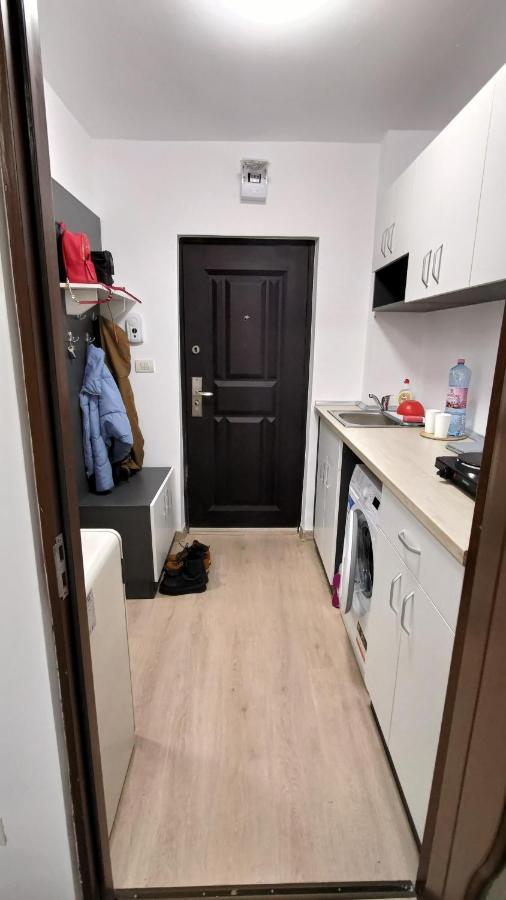 Ferienwohnung Garsoniera 30Mp Chrysflatty1 - Free Netflix Arad Exterior foto