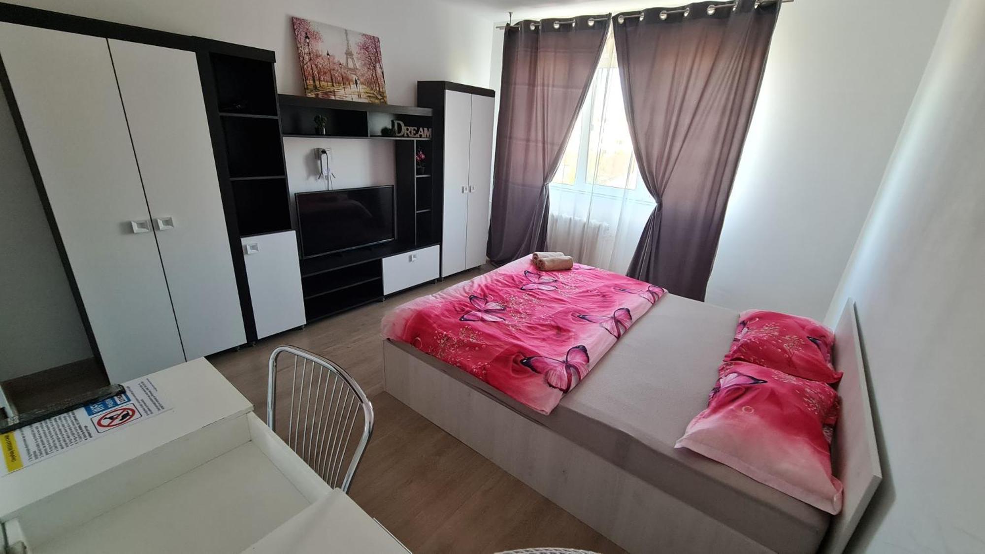 Ferienwohnung Garsoniera 30Mp Chrysflatty1 - Free Netflix Arad Exterior foto